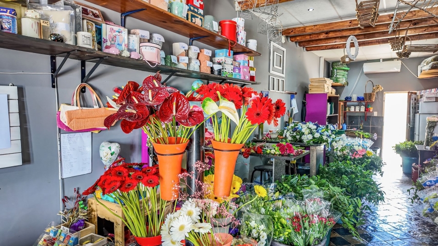 Commercial Property for Sale in Bodorp North West